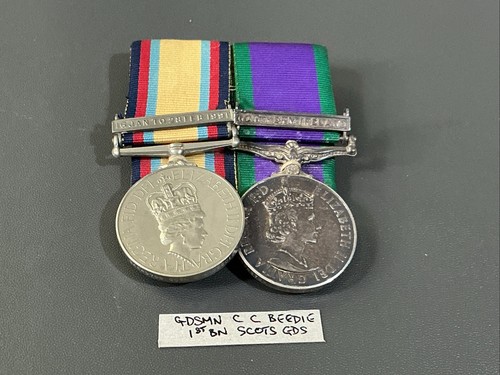 Gulf war pair 24849799 gdsm - gulf,