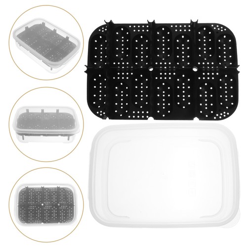 Turtle egg incubator reptile - turtle,