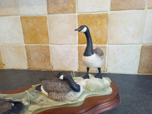Border fine arts canada - arts, geese