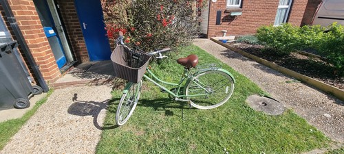Ammaco classique ladies - ammaco,