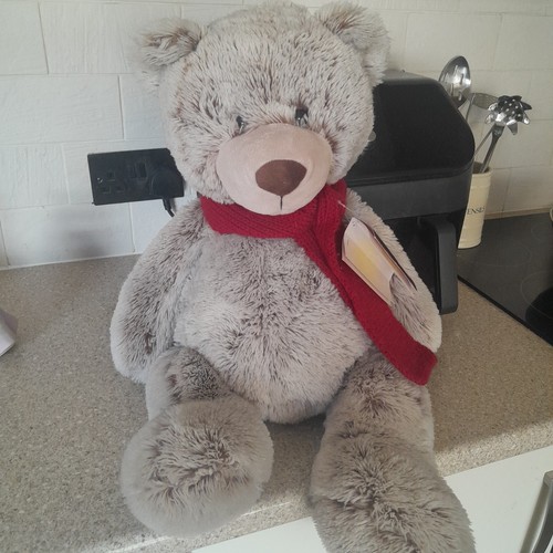 Playful pals grey plush teddy - grey,