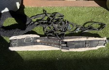 Fleece Lined Medium Lunging