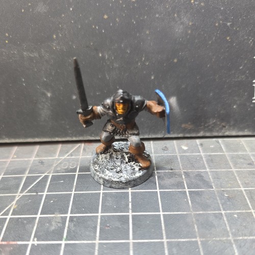 Painted advanced heroquest - painted,