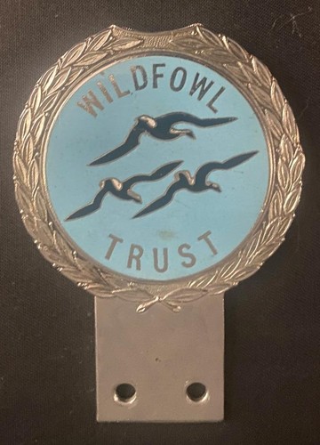 Wildfowl trust gaunt - trust, r