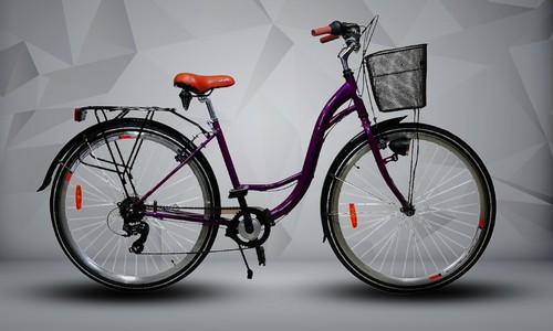 Women speed city bike - 6,