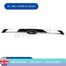 Chrome rear boot grab - boot, door