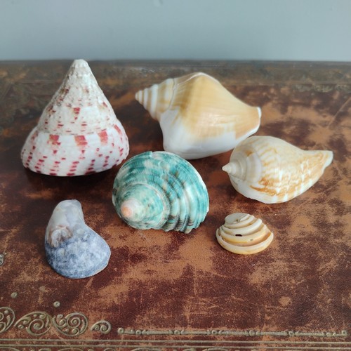Job lot vintage spiral - job, sea