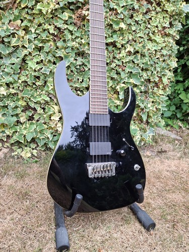 Ibanez rgir20fe iron label - ibanez,