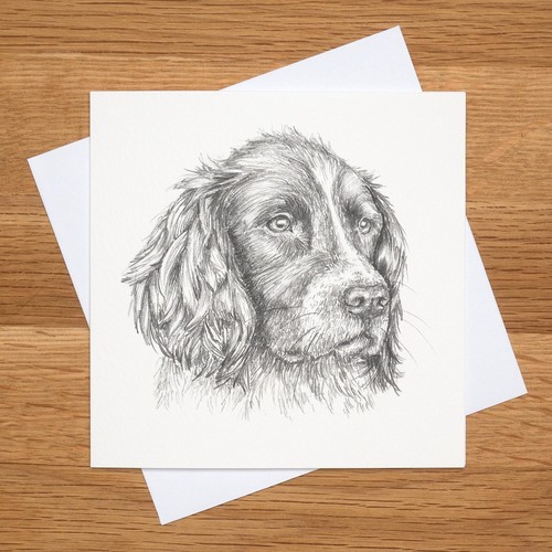 Hand drawn springer - (print),