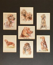 THE IRISH SETTER Man's Best Friend Mounted Collectors Cards fit 12x10" Frame RED