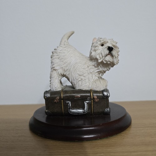 Leonardo west highland - highland, terrier