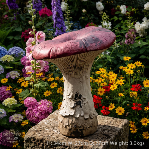 Toadstool mushroom rustic red - toadstool,
