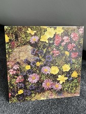 Ladies  Cotton Handkerchiefs 6