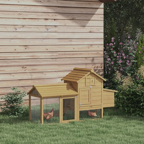 Garden small chicken poultry - chicken,