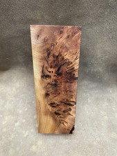 Stabilised Wood Elm Burr Burl