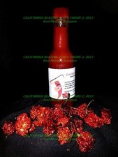 Organic Trinidad Scorpion Hot