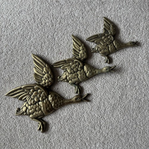 Graduated flying ducks - flying,