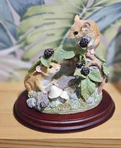 Border fine arts dormice - fine, &