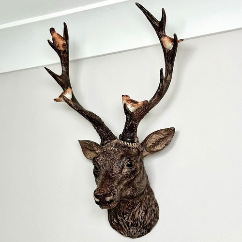 Brown stags head - stags,