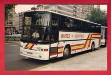 Coach Photo - Whites of