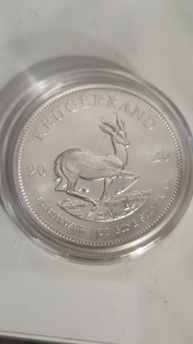 2020 south african - south,