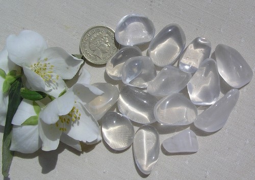 Clear girasol - 10, (white)