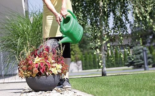 Green watering can - watering, 10l