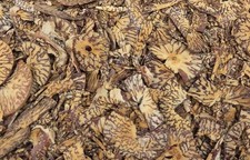 1kg Mawa Cut Roasted Betel Nut