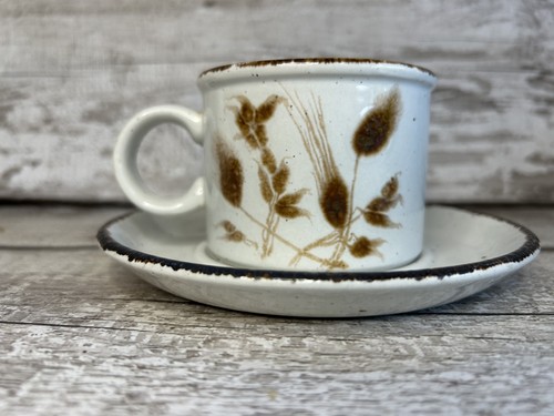 Midwinter wild oats cup - oats,