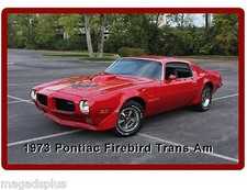 1973  Pontiac Firebird Trans