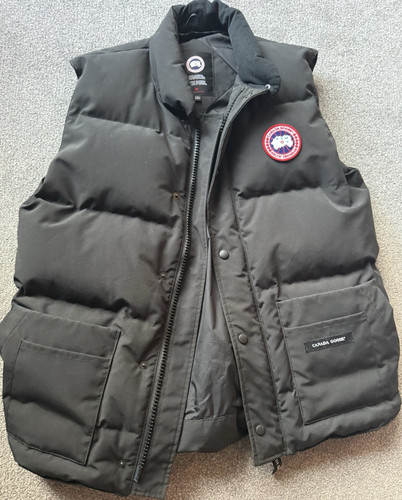 Canada goose black down - goose,