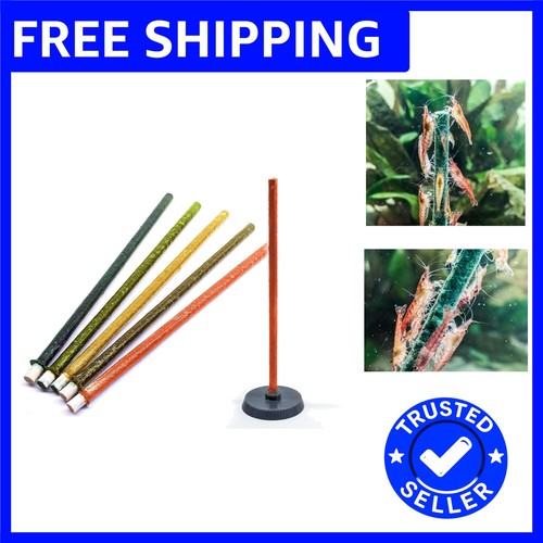 Enhanced shrimp health with - health,
