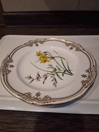 Spode stafford flowers - flowers, plate