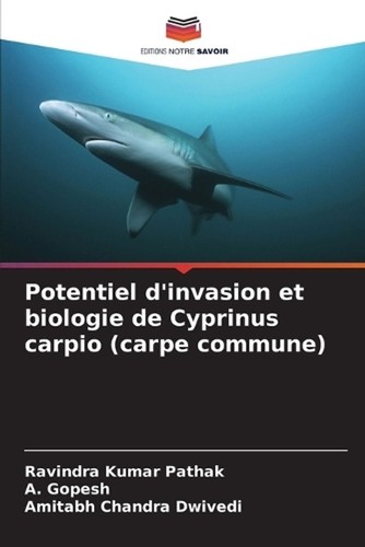 Potentiel invasion et - potentiel, d'invasion