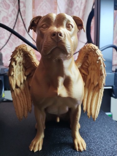 The watchful guardian - watchful, guardian"