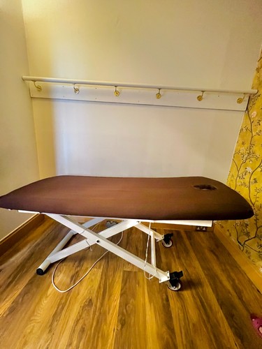 Electric massage bed
