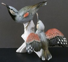 KARL ENS WALL CREEPER BIRD