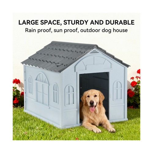 Dog kennel outdoor - dog,