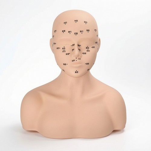 Pvc mannequin head - pvc,