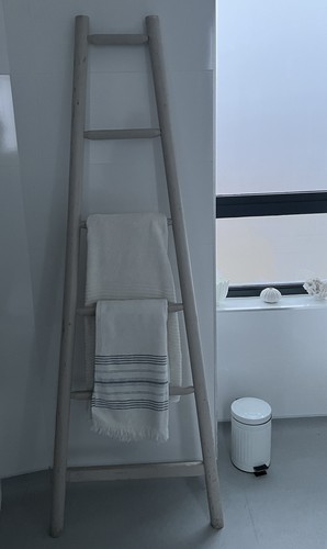 Antique fruit pickers ladder - fruit,