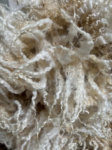 Raw sheep wool blueface - raw, sheep’s
