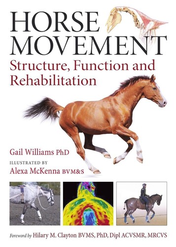 Horse movement structure - movement:,