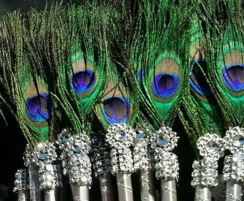 The peacock feather pen - peacock,