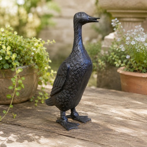 Cast iron duck garden home - cast,