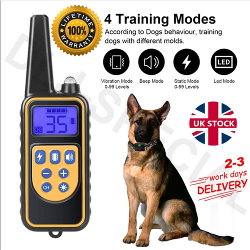 800m electric pet dog - dog, training