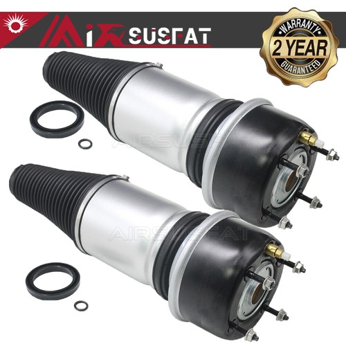 Rear air suspension shock - rear,