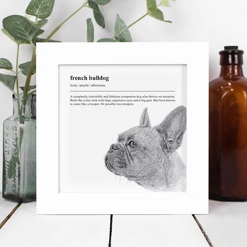 Coulson mcleod dog - mcleod,