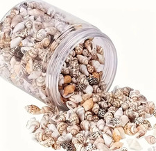 100pcs Natural Seashells – Mixed Mini Shells for Crafts, Decoration & Aquarium