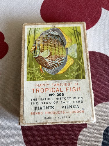 Tropical fish happy - happy,
