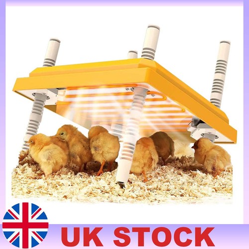 Adjustable chick brooder - adjustable,